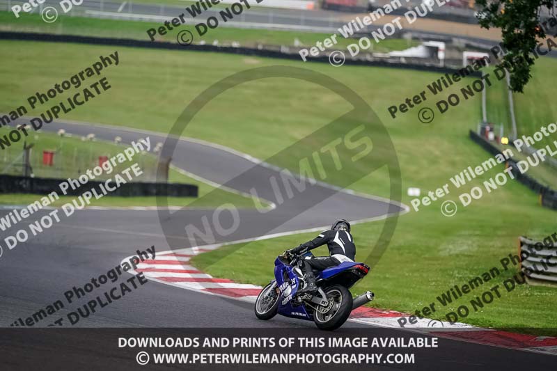 brands hatch photographs;brands no limits trackday;cadwell trackday photographs;enduro digital images;event digital images;eventdigitalimages;no limits trackdays;peter wileman photography;racing digital images;trackday digital images;trackday photos